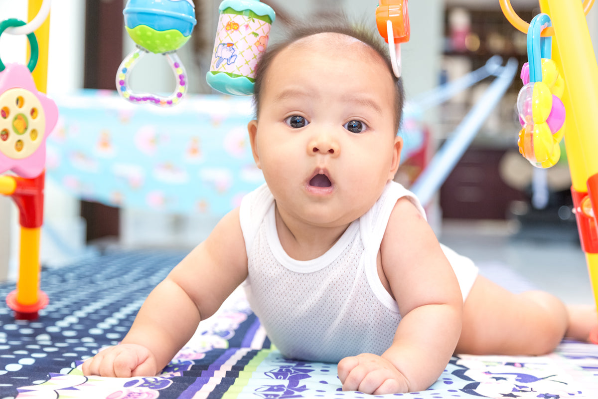 Infant T-Shirts and Shorts - White/Grey